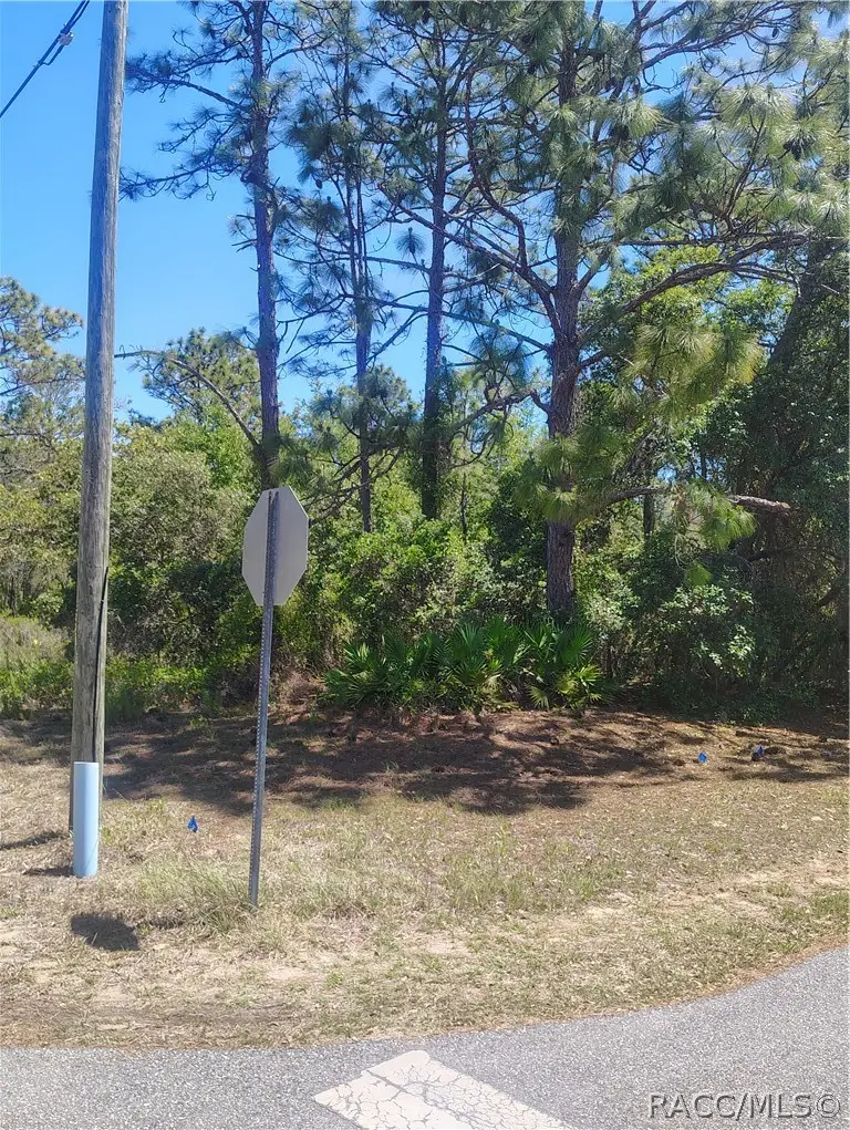 5141 N Wayne Drive, Beverly Hills, FL 34465 - #3