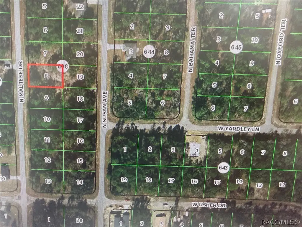 7967 N Maltese Drive, Citrus Springs, FL 34433 - #1