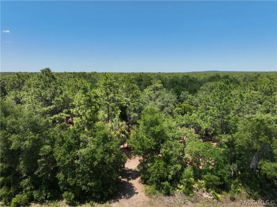 6119 W Homosassa Trail, Homosassa, FL 34448 - #3