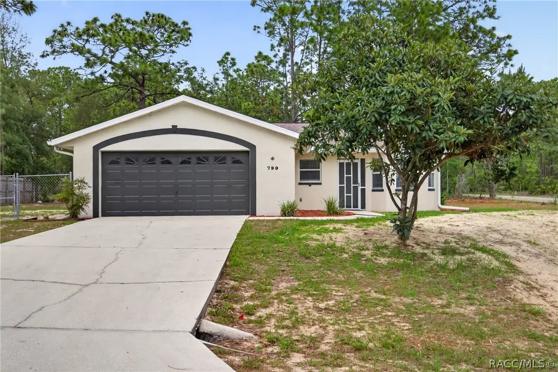 799 W Wycliffe Lane, Citrus Springs, FL 34434 - #1