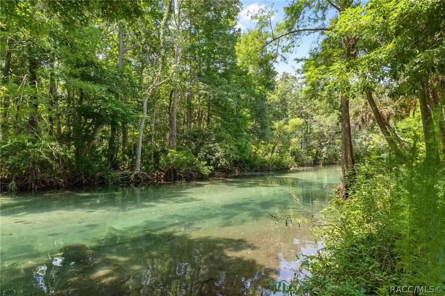 6762 E Richard Drive, Spring Hill, FL 34607 - #3