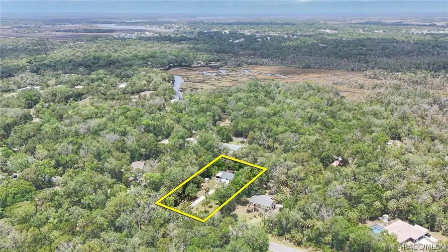 11065 W Townsend Lane, Homosassa, FL 34448 - #2