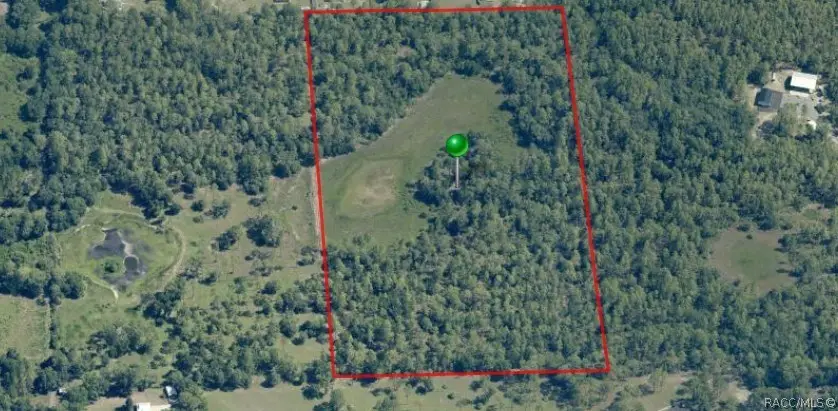 5499 N Gonzo Point, Crystal River, FL 34428 - #1