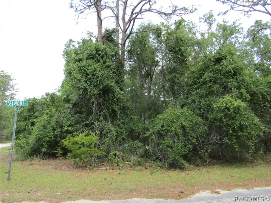 9673 N Loretta Way, Citrus Springs, FL 34434 - #2