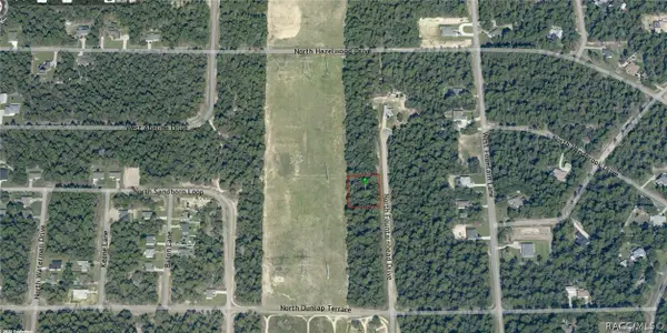 6925 N Fountainhead Drive, Citrus Springs, FL 34433