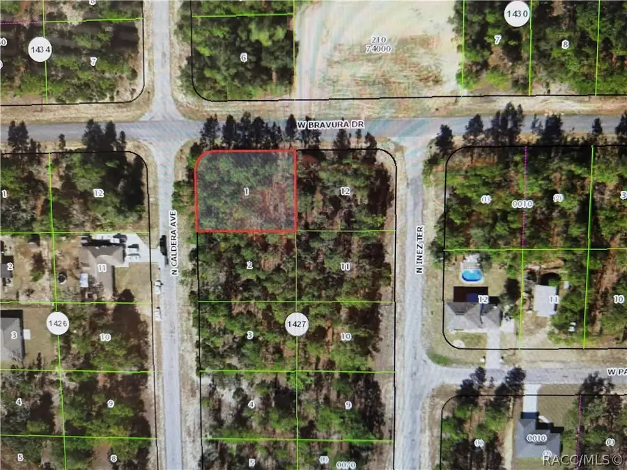 10599 N Caldera Avenue, Dunnellon, FL 34433 - #2