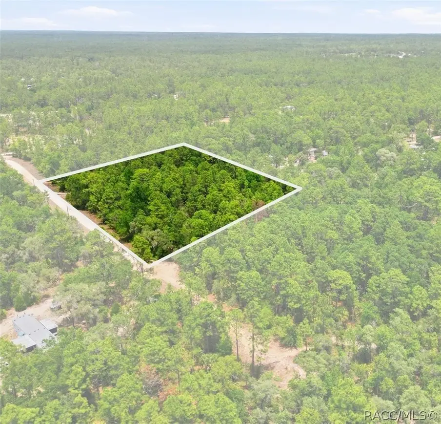5339 N Lace Point, Dunnellon, FL 34433 - #1