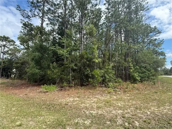 7103 N Hemmingway Drive, Dunnellon, FL 34434