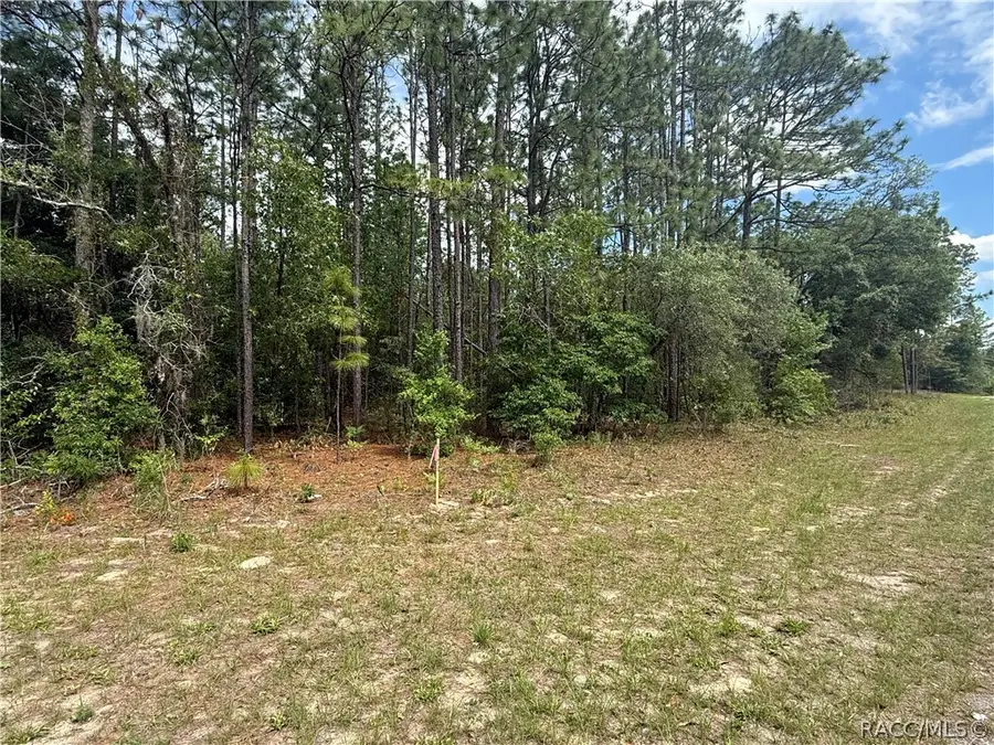 7103 N Hemmingway Drive, Dunnellon, FL 34434 - #2