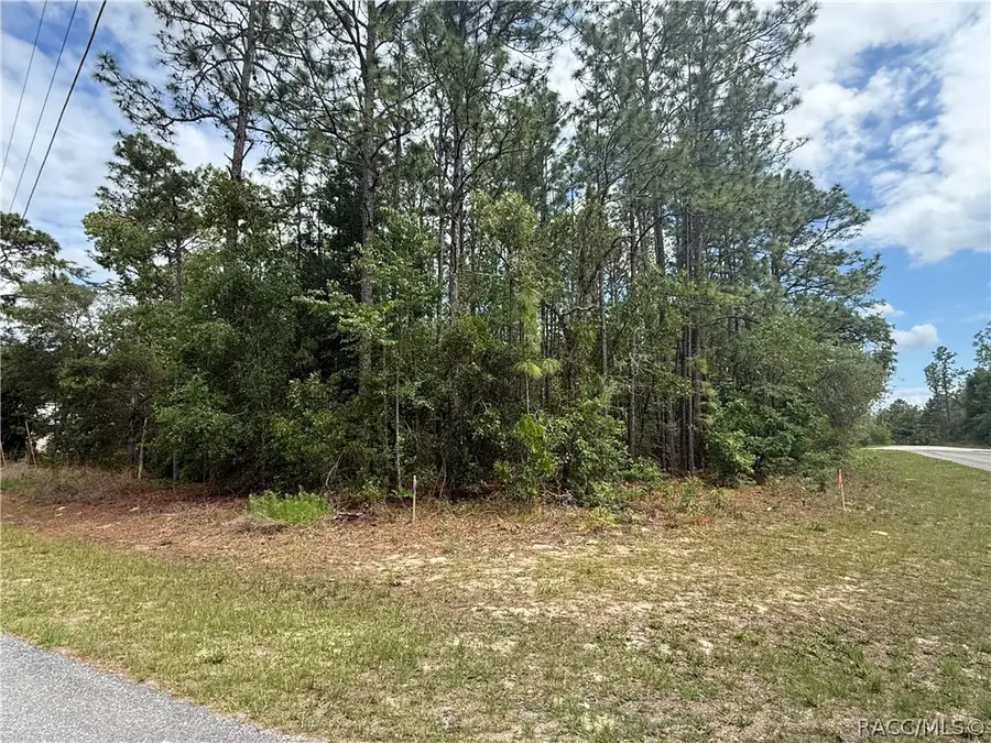 7103 N Hemmingway Drive, Dunnellon, FL 34434 - #3