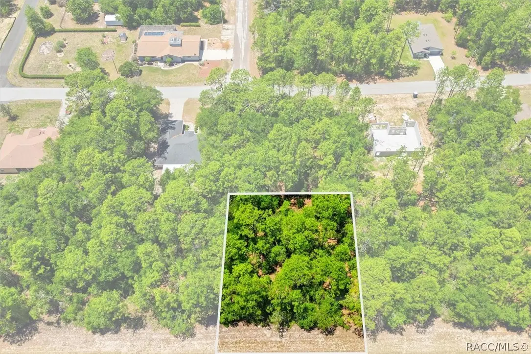 10858 N Elkcam Boulevard, Citrus Springs, FL 34433 - #1