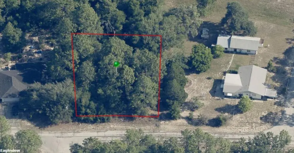 3173 W Marie Drive, Citrus Springs, FL 34433 - #1