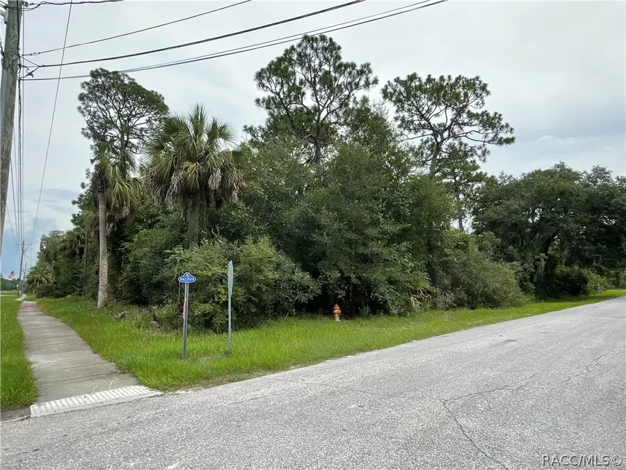 00 W Highway 40, Inglis, FL 34449 - #3