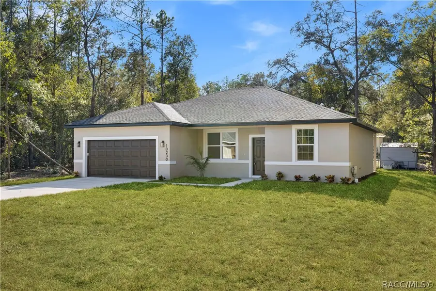 3378 W Citrus Springs Boulevard, Citrus Springs, FL 34433 - #3