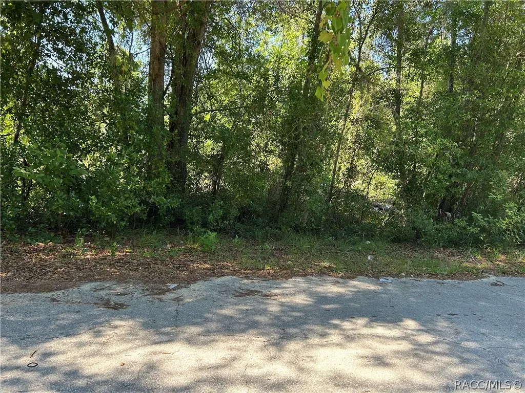 1875 N Scenic Way, Crystal River, FL 34429 - #1