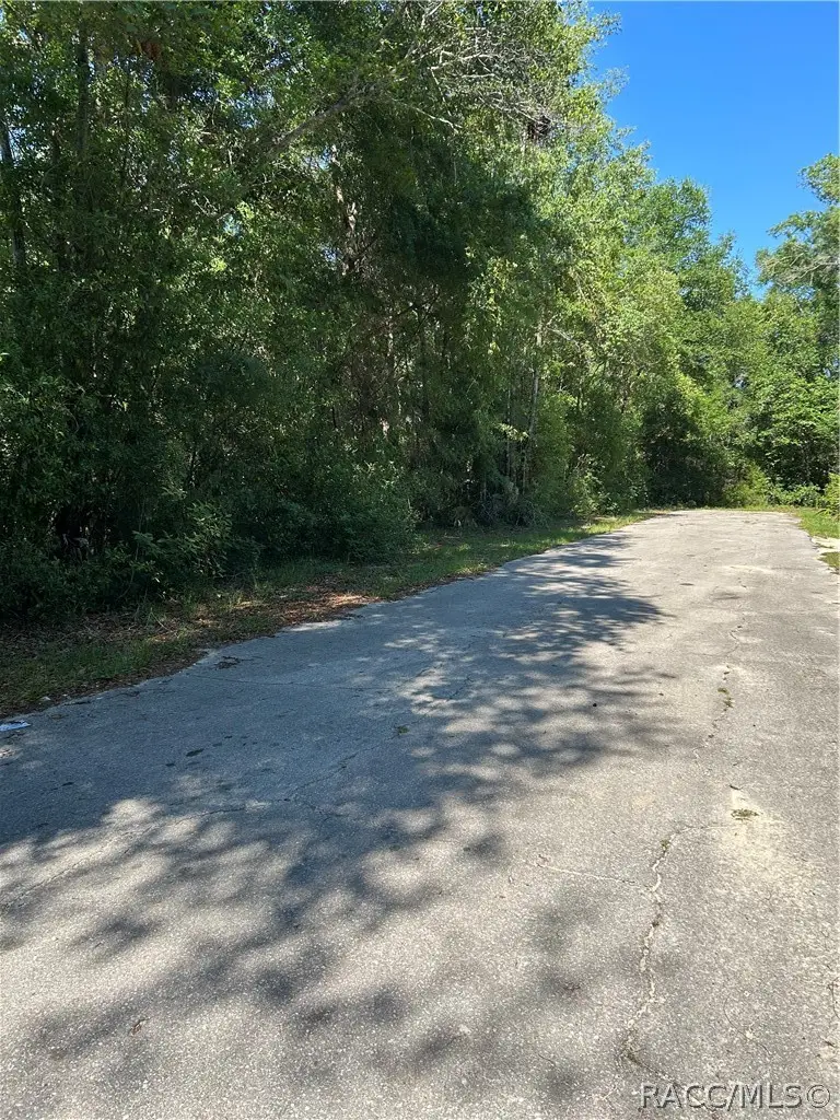 1875 N Scenic Way, Crystal River, FL 34429 - #3