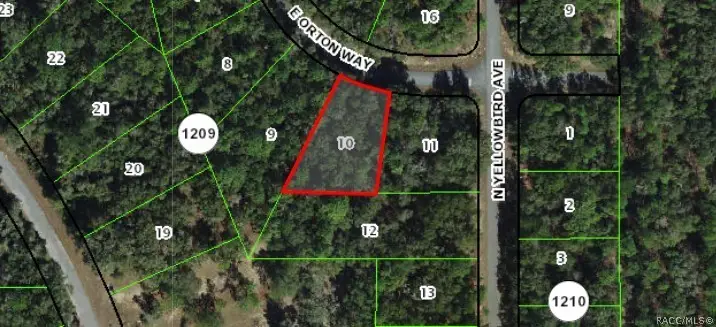 8264 N Orton Way, Dunnellon, FL 34434 - #1