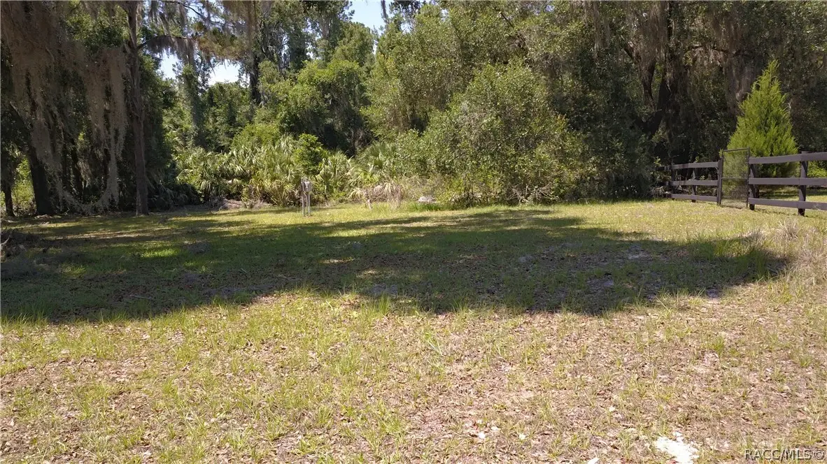 11333 SE 202nd Lane, Inglis, FL 34449 - #1