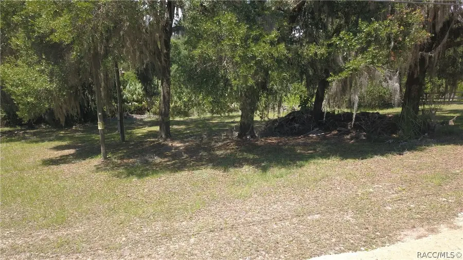 11333 SE 202nd Lane, Inglis, FL 34449 - #3