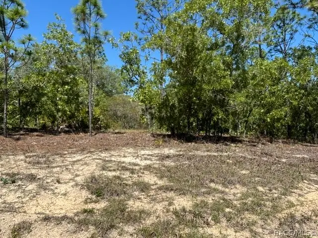 2888 W Lambert Drive, Dunnellon, FL 34433 - #1