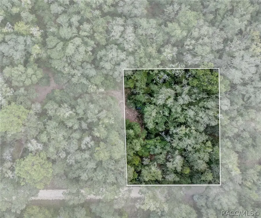 35 N Baker Terrace, Inverness, FL 34453 - #2