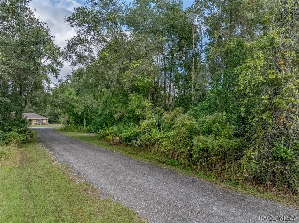1043 N Beatrice Terrace, Inverness, FL 34453 - #1
