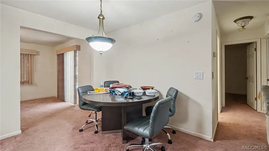 163 W Royalfern Place, Beverly Hills, FL 34465 - #2