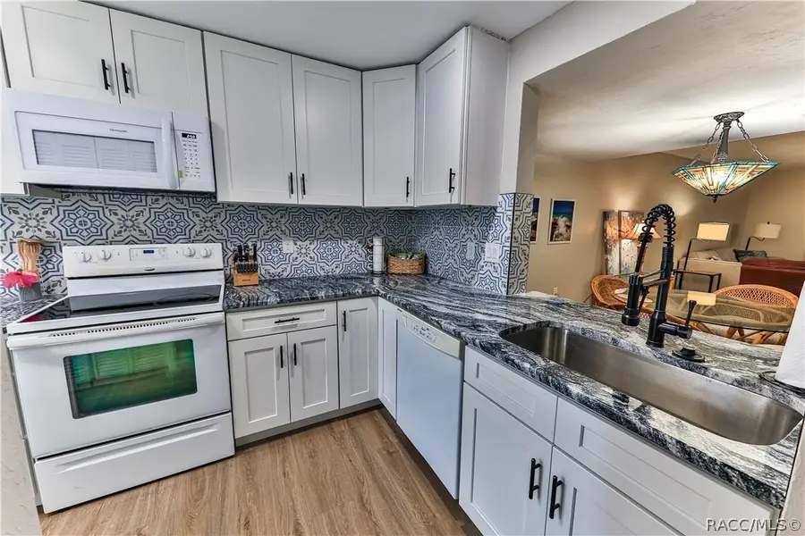 156 E Glassboro Court #1B, Hernando, FL 34442 - #3