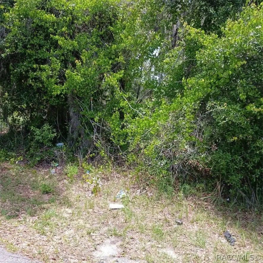 215 & 217 Country Walk, Inverness, FL 34453 - #1