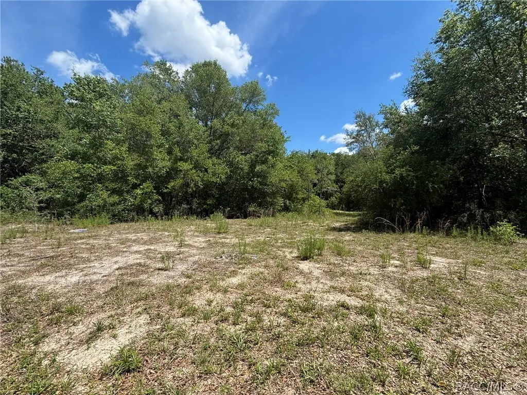 2608 Polk Street, Inverness, FL 34453 - #1