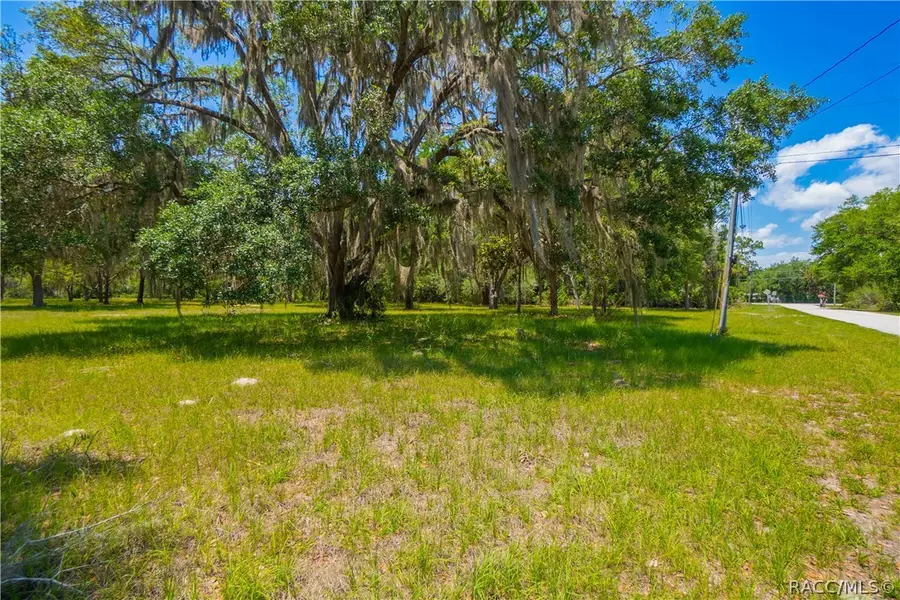 20 Cove Road, Inglis, FL 34449 - #3