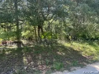 3234 Amphibian Point, Crystal River, FL 34428 - #1