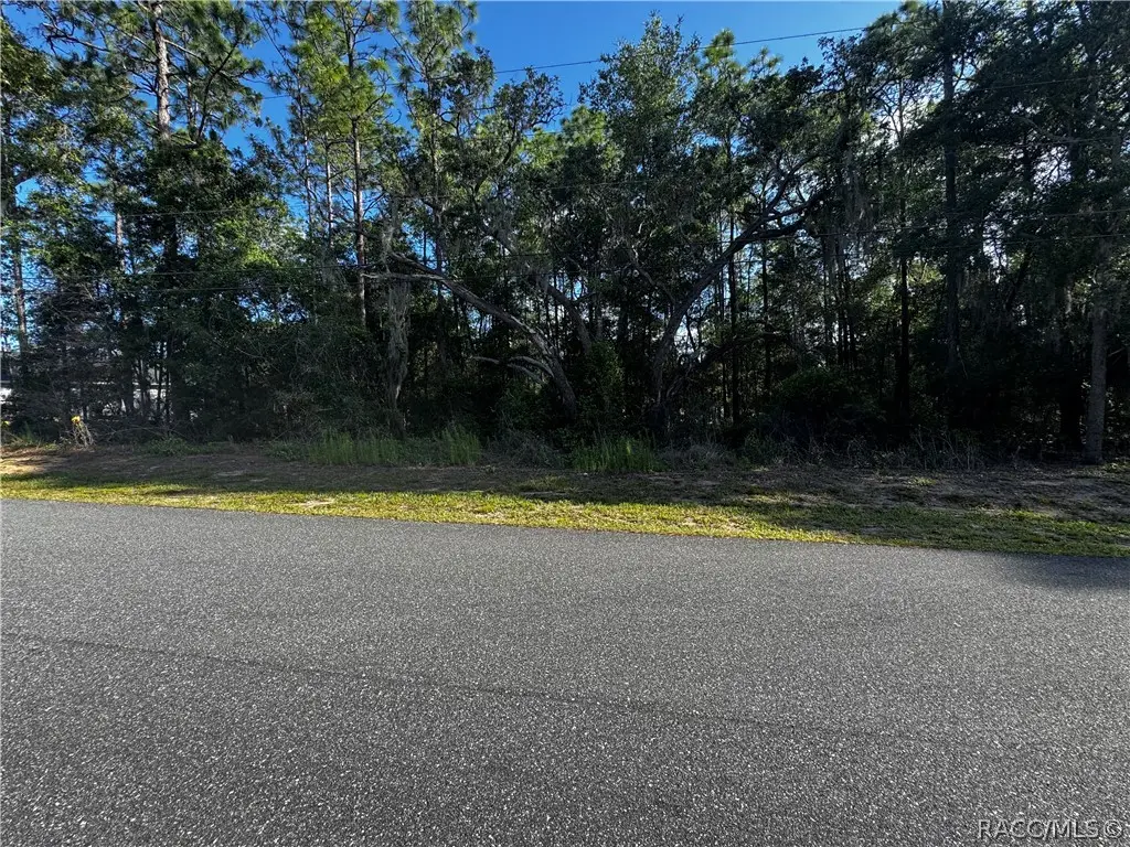 5241 E Hopp Lane, Inverness, FL 34452 - #1