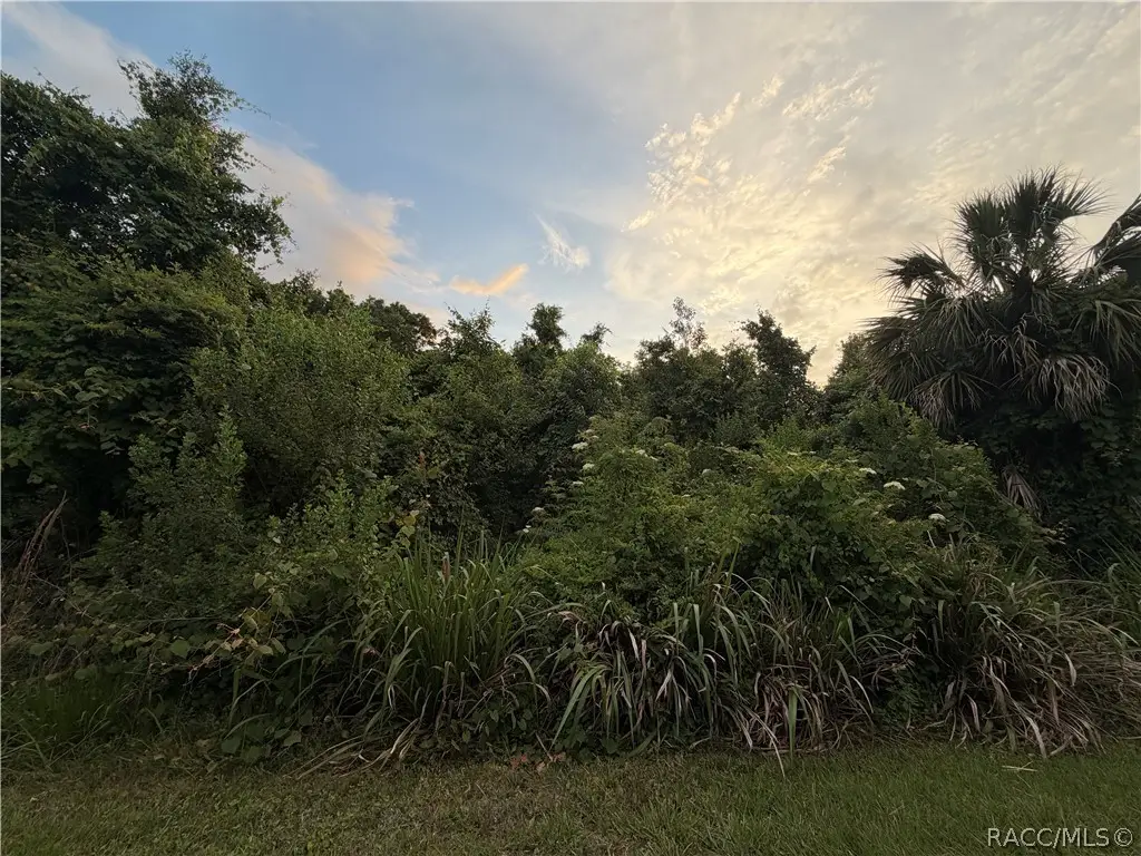 1062 N Fan Palm Point, Crystal River, FL 34429 - #1