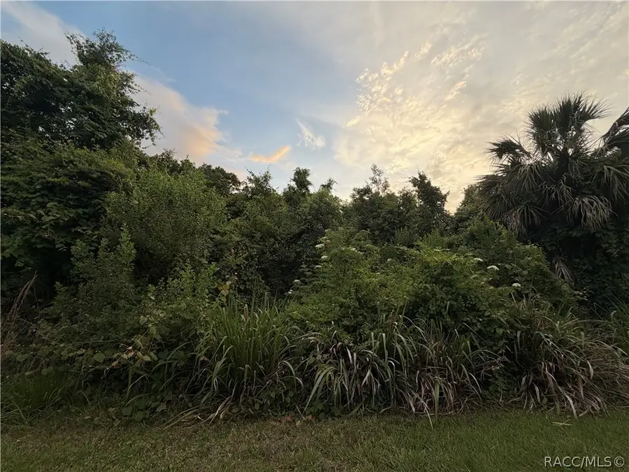1089 N Fan Palm Point, Crystal River, FL 34429 - #2