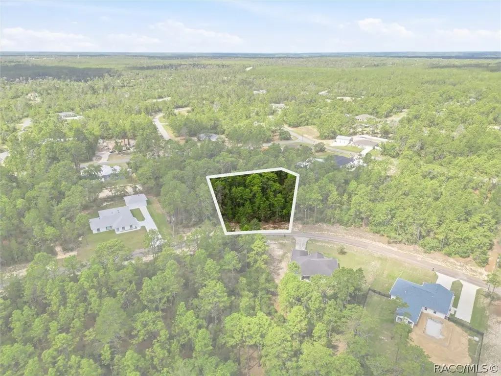 8726 N Ronda Drive, Citrus Springs, FL 34433 - #1