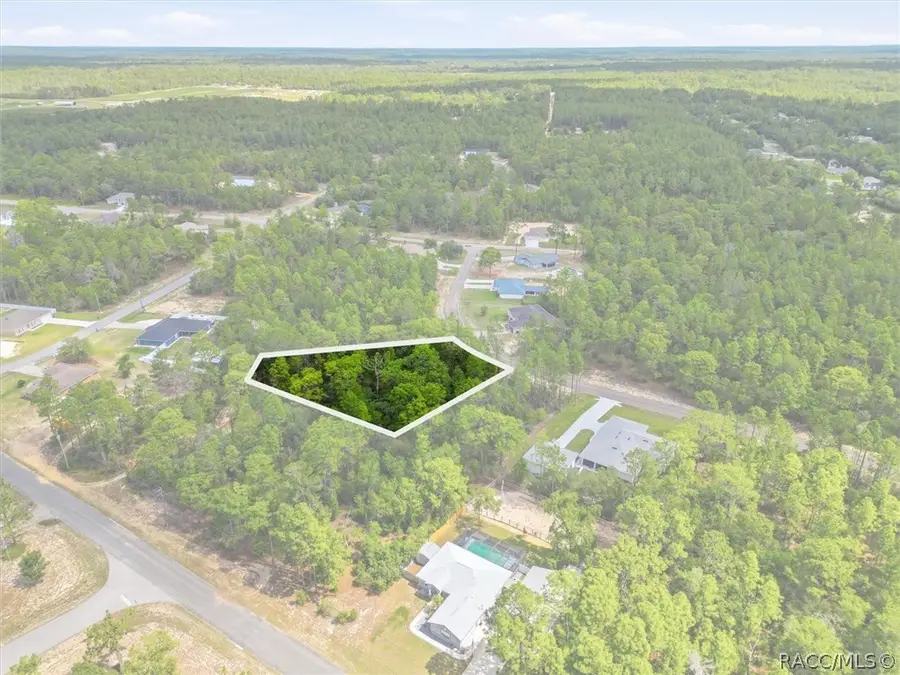 8726 N Ronda Drive, Citrus Springs, FL 34433 - #3