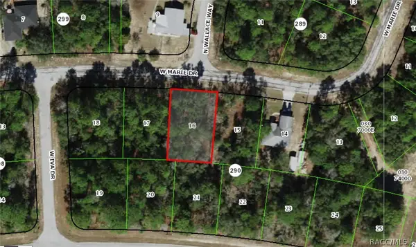 3130 W Marie Drive, Dunnellon, FL 34433