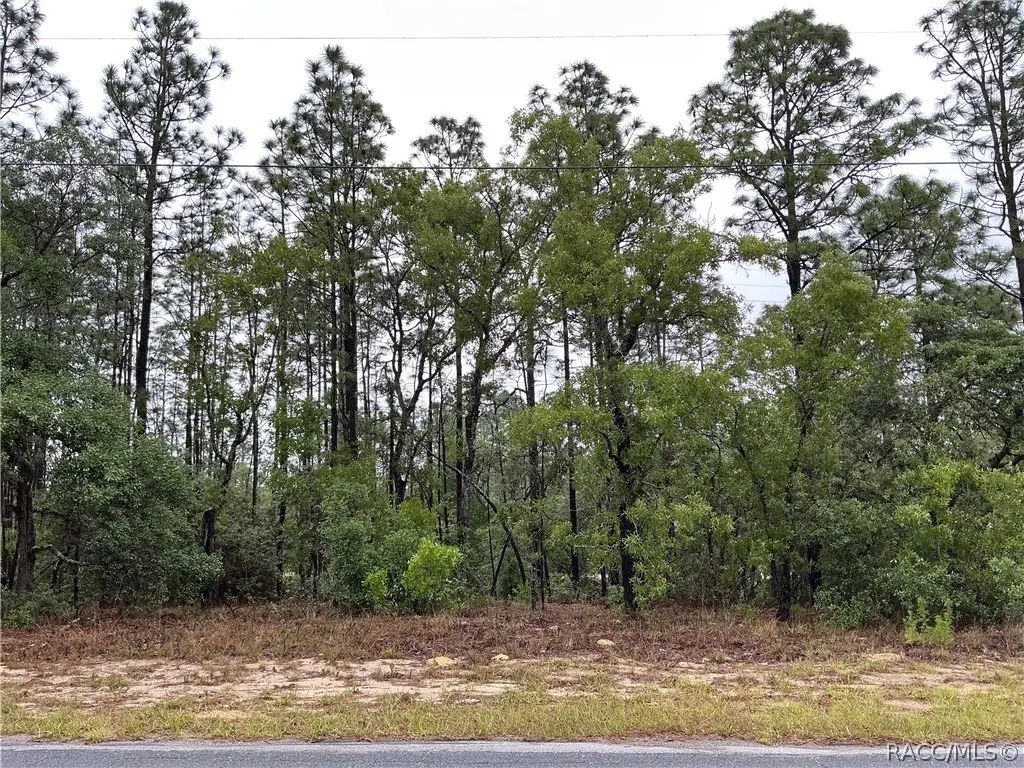 2905 W Sharpes Drive, Citrus Springs, FL 34433 - #1