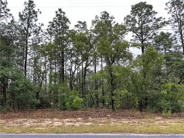 2905 W Sharpes Drive, Citrus Springs, FL 34433