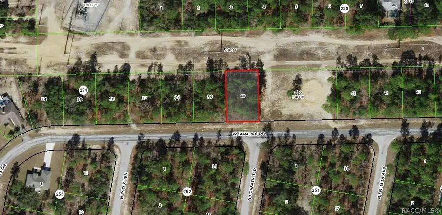 2905 W Sharpes Drive, Citrus Springs, FL 34433 - #2