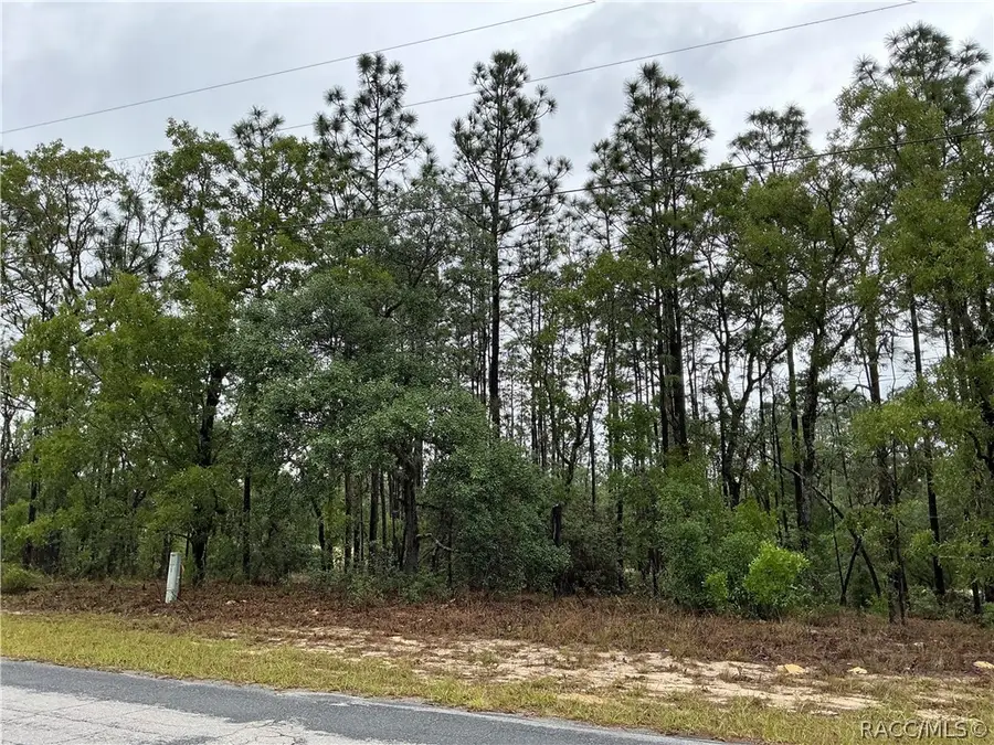 2905 W Sharpes Drive, Citrus Springs, FL 34433 - #3
