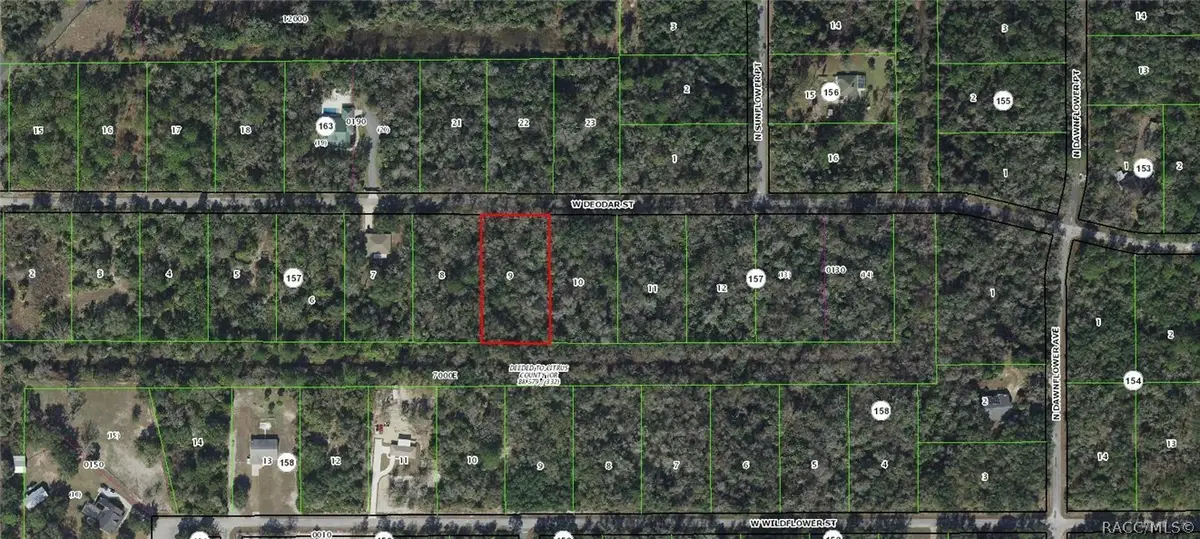 12064 W Deodar Street, Crystal River, FL 34428 - #1