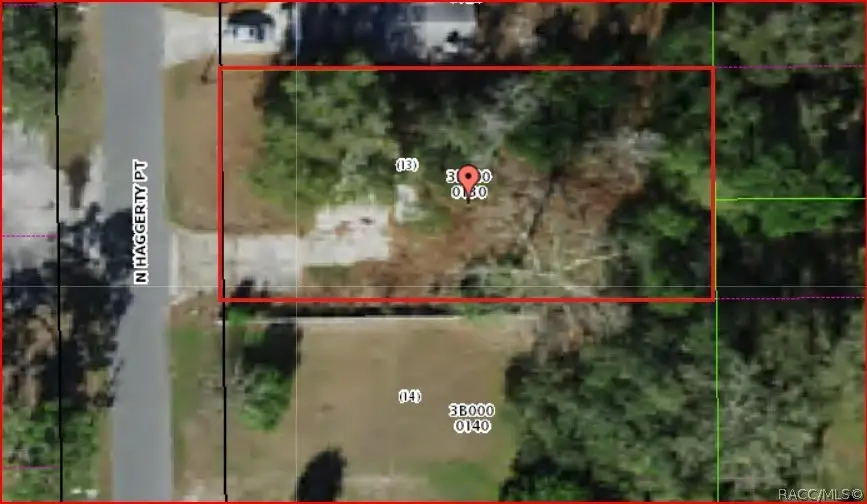 1195 N Haggerty Point, Crystal River, FL 34429 - #2