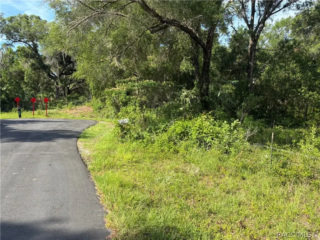 5236 N Oldwood Point, Hernando, FL 34442 - #1
