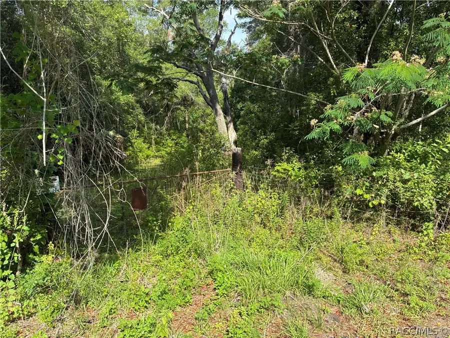 5236 N Oldwood Point, Hernando, FL 34442 - #2