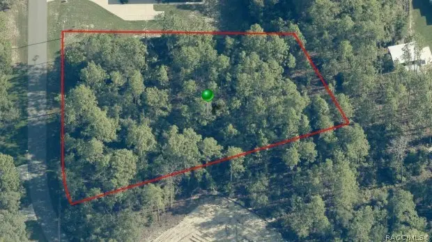 5105 N Peppermint Drive, Beverly Hills, FL 34465 - #1