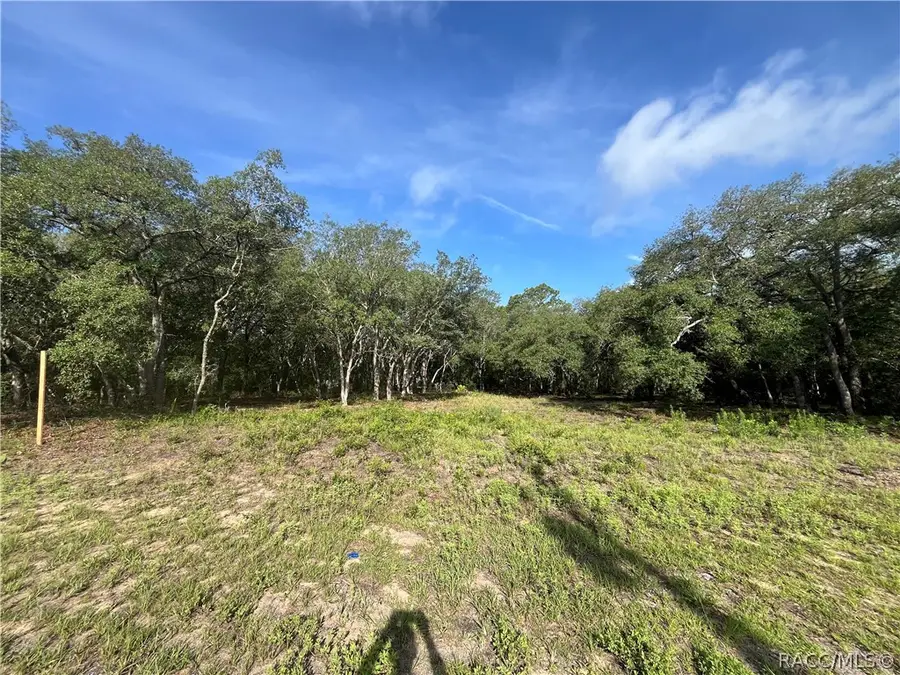 6990 N Lime Drive, Citrus Springs, FL 34433 - #2