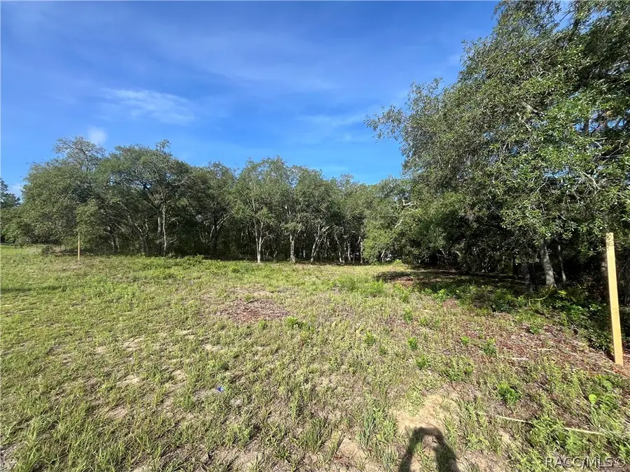 6990 N Lime Drive, Citrus Springs, FL 34433 - #3