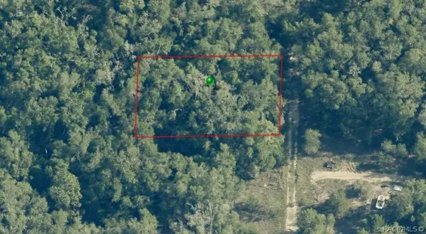 703 Dalwood Avenue, Inverness, FL 34453